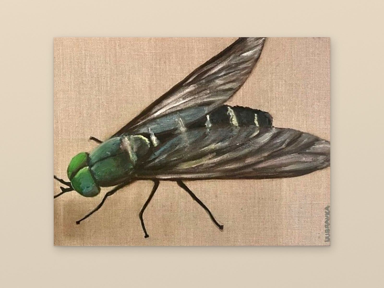 FLY ON THE WALL — Oil on linen, 36cm x 46cm. Painting by Dubravka Sabljak. View 2 of 2.