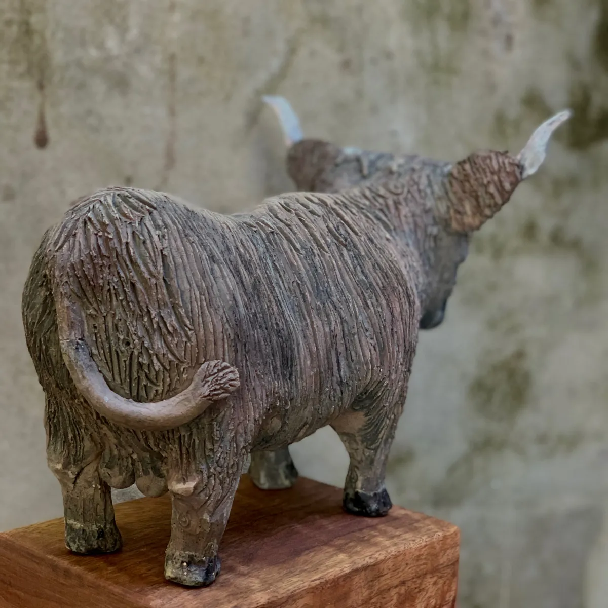 SCOTTY THE BULL. Ceramic work by Dubravka Sabljak. View 3 of 3.